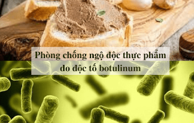 Phòng tránh ngộ độc thực phẩm do vi khuẩn Botulinum