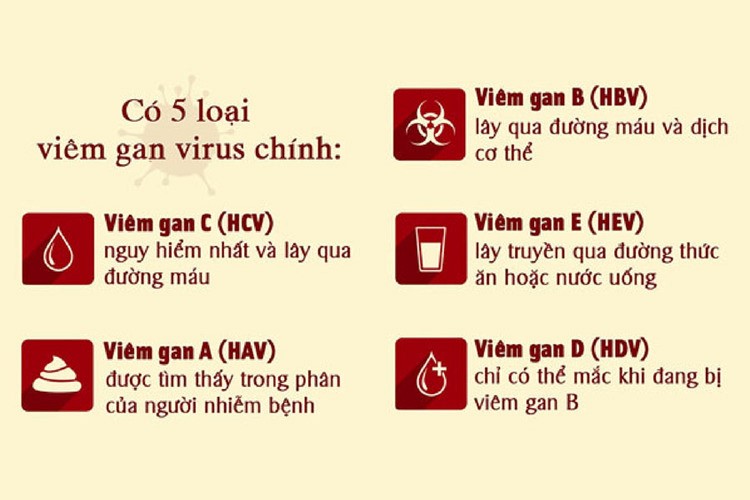 Ngày Thế giới đấu tranh phòng chống bệnh viêm gan (28/7)