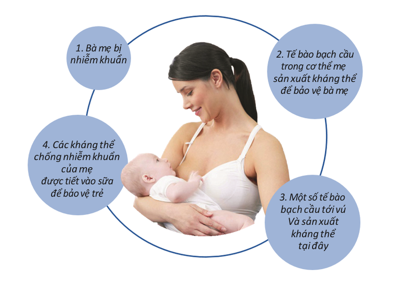 Những lợi ích từ sữa mẹ