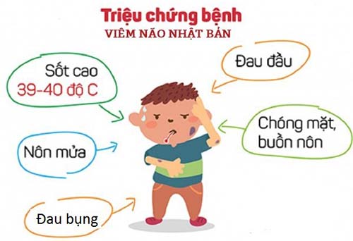 Viêm não Nhật Bản - Những điều cần biết